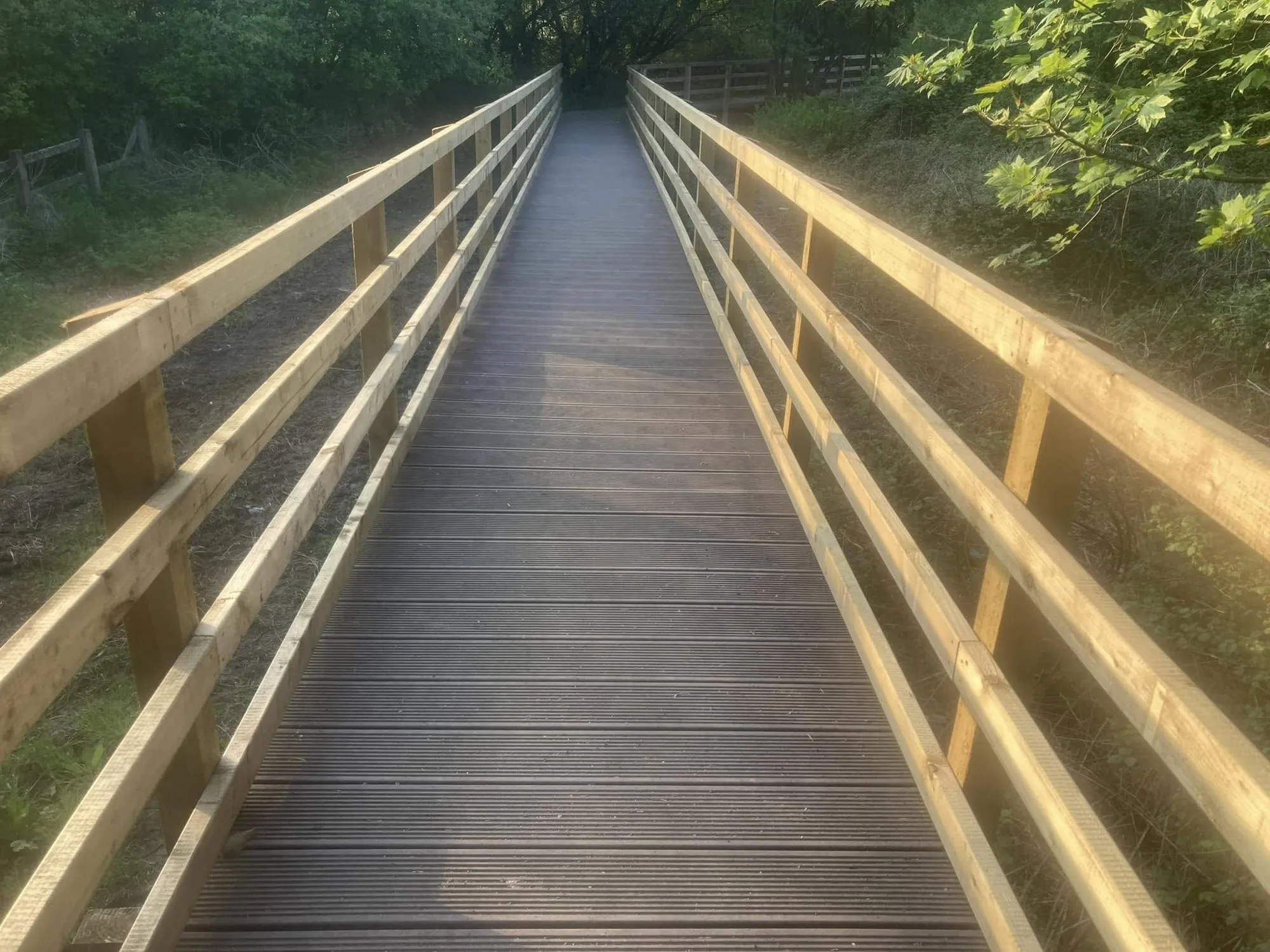 Timber boardwalk with post and rail handrails on both sides
