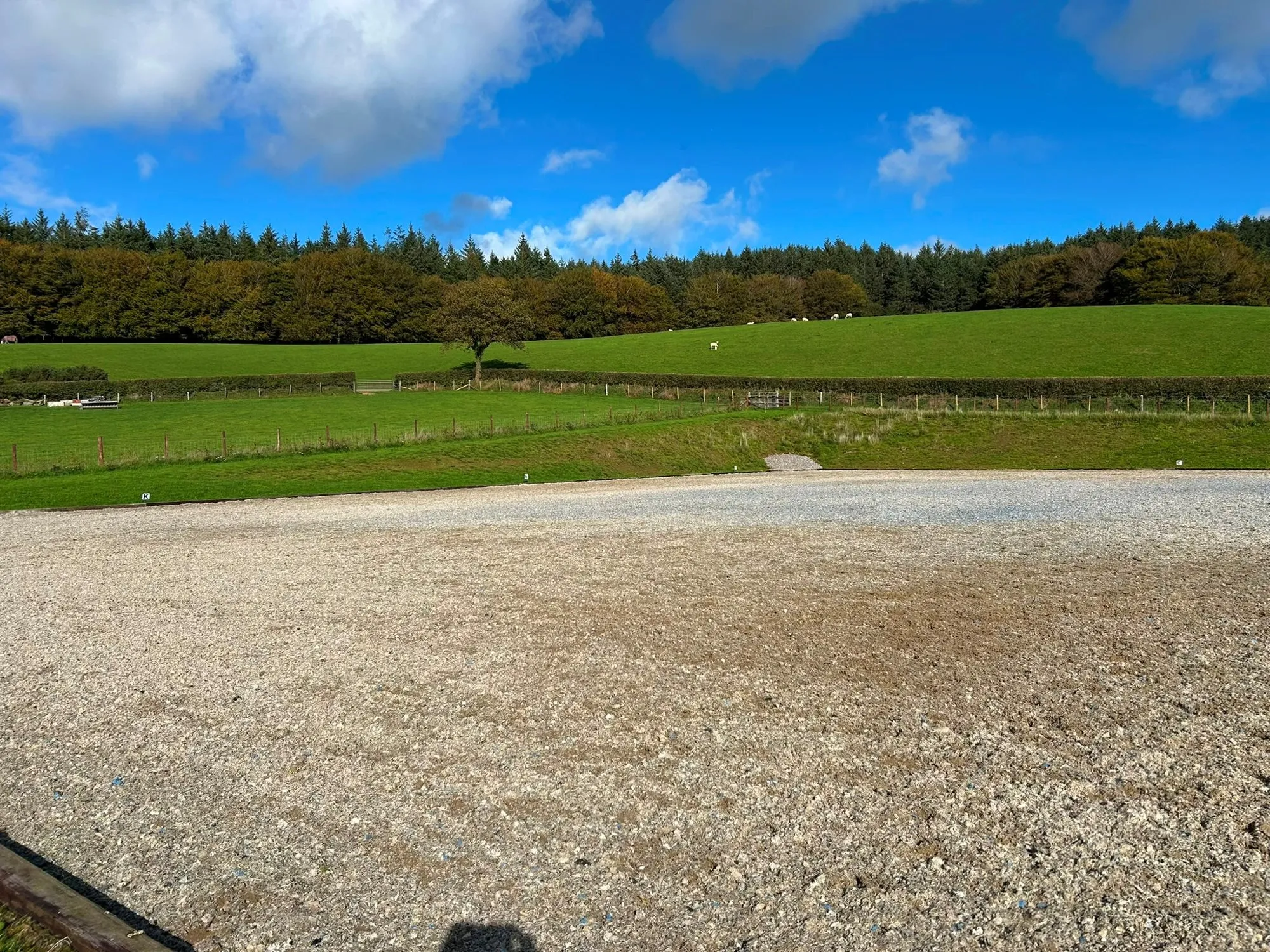 Riding arena surface and grass banks under a blue sky