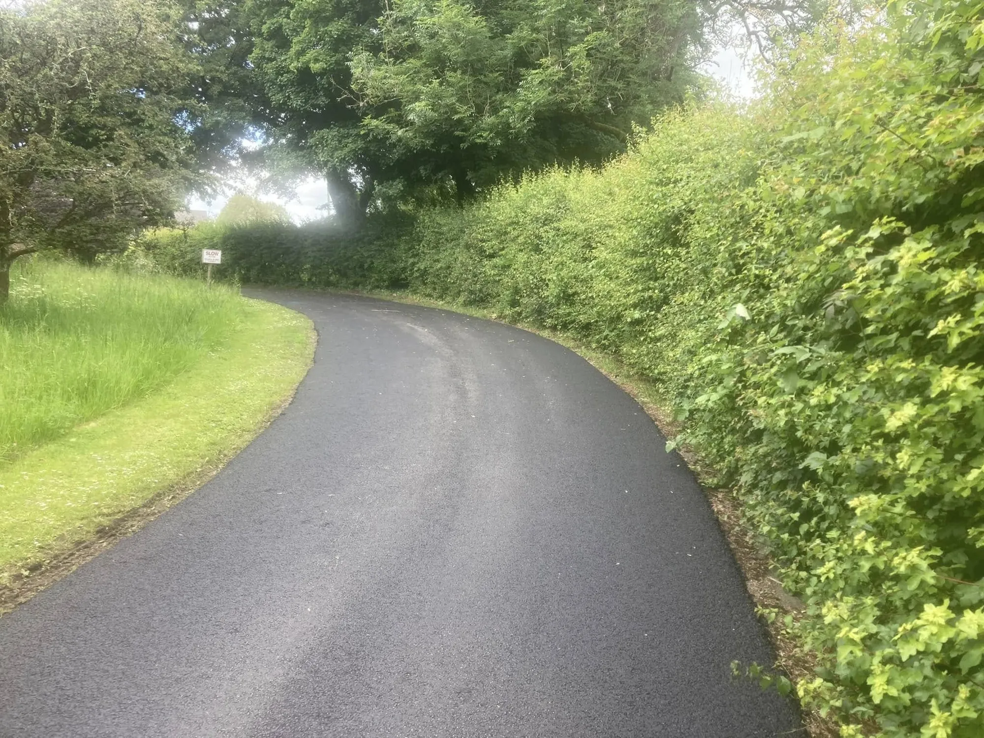 Resurfaced lane curving past a tall hedge