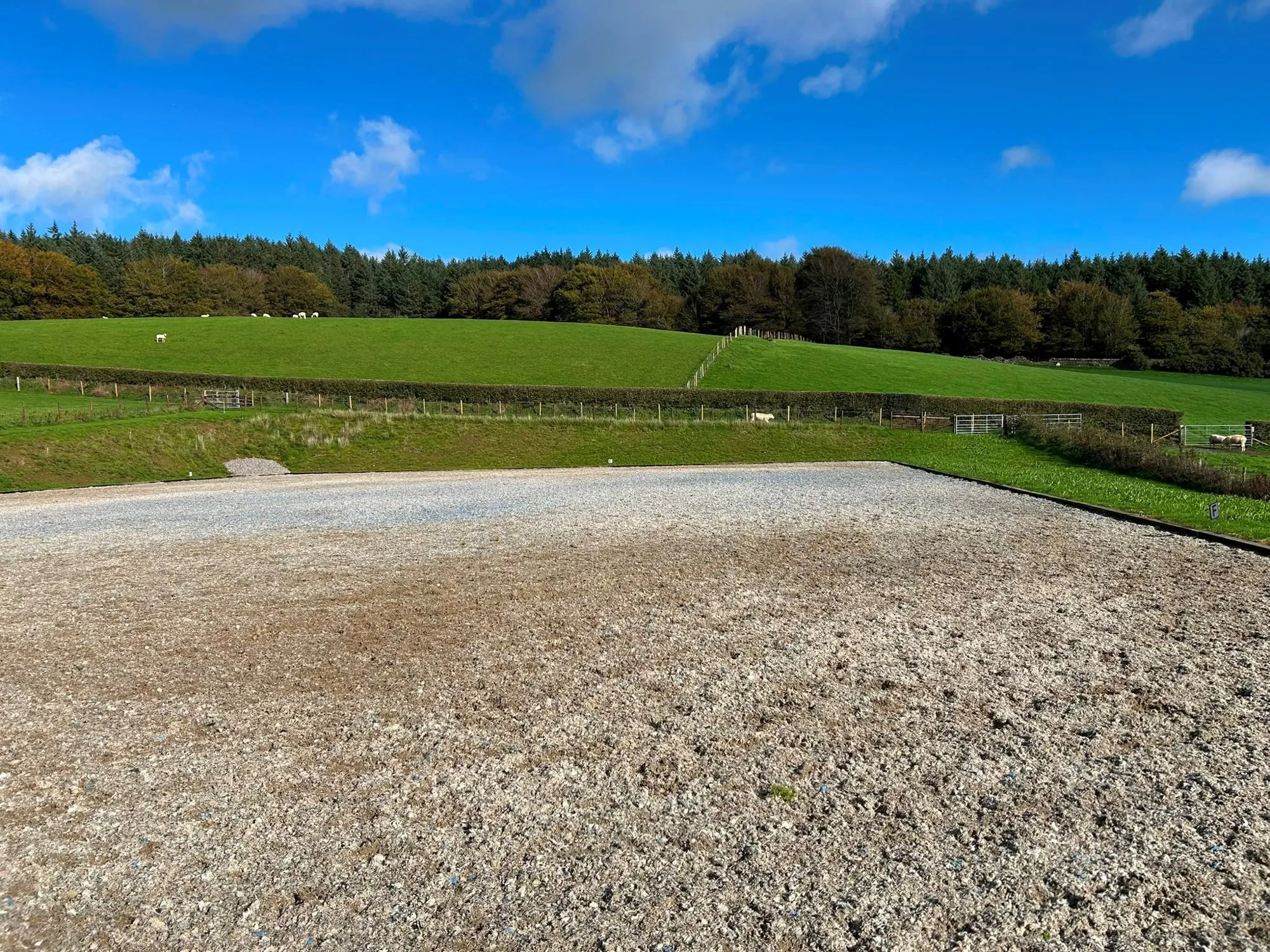 Riding arena with dressage letters on the boards and sheep grazing beyond