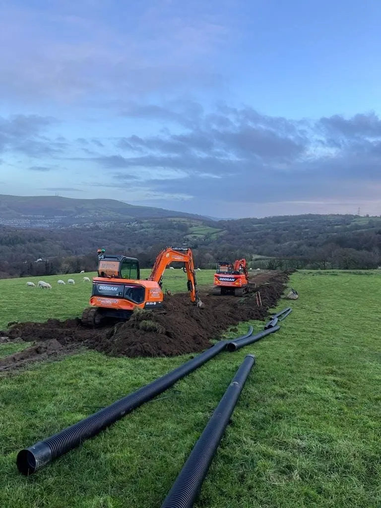 Two excavators laying black drainage pipe across a hillside field with sheep grazing