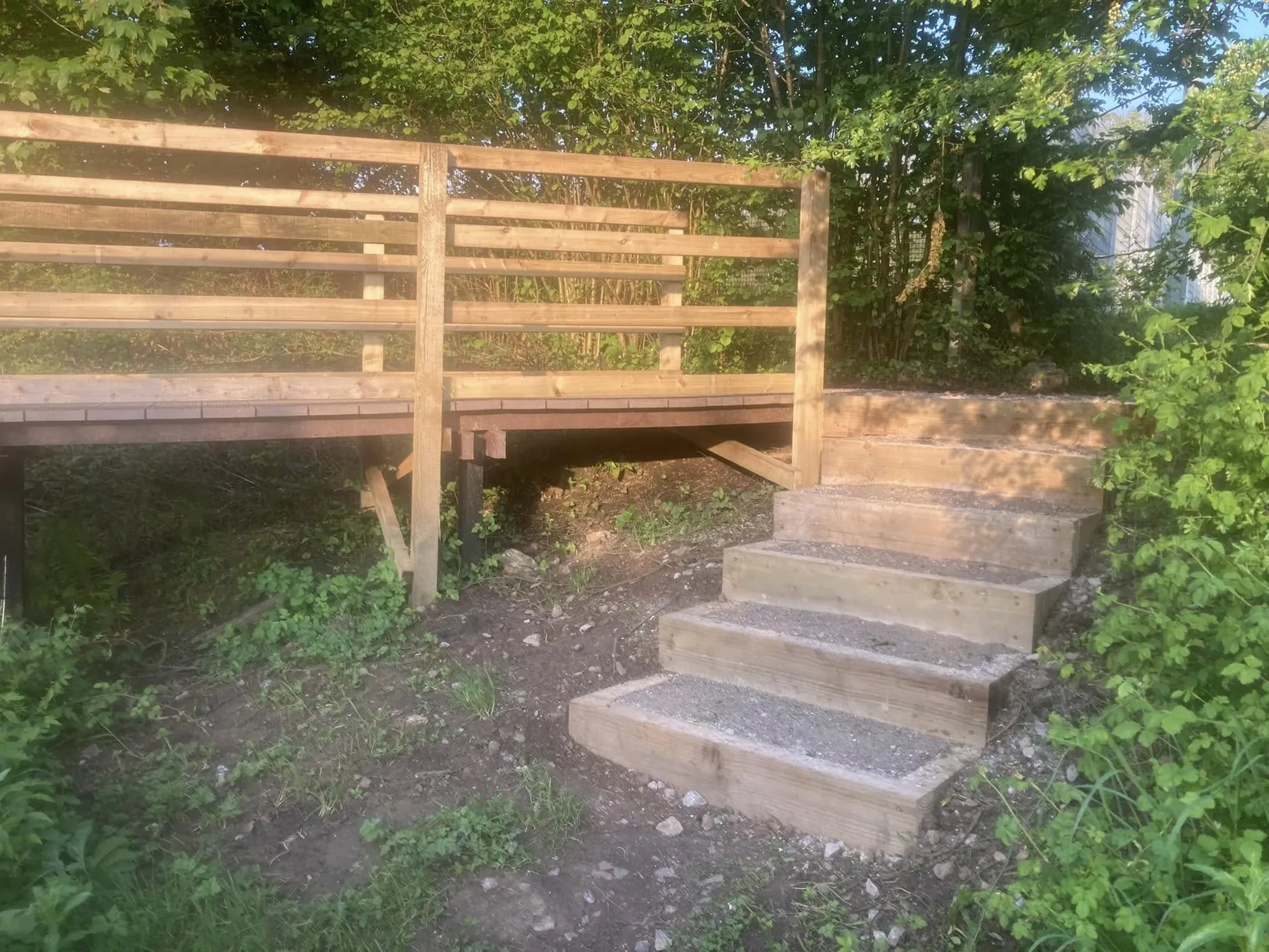 Timber steps leading up to a raised boardwalk platform
