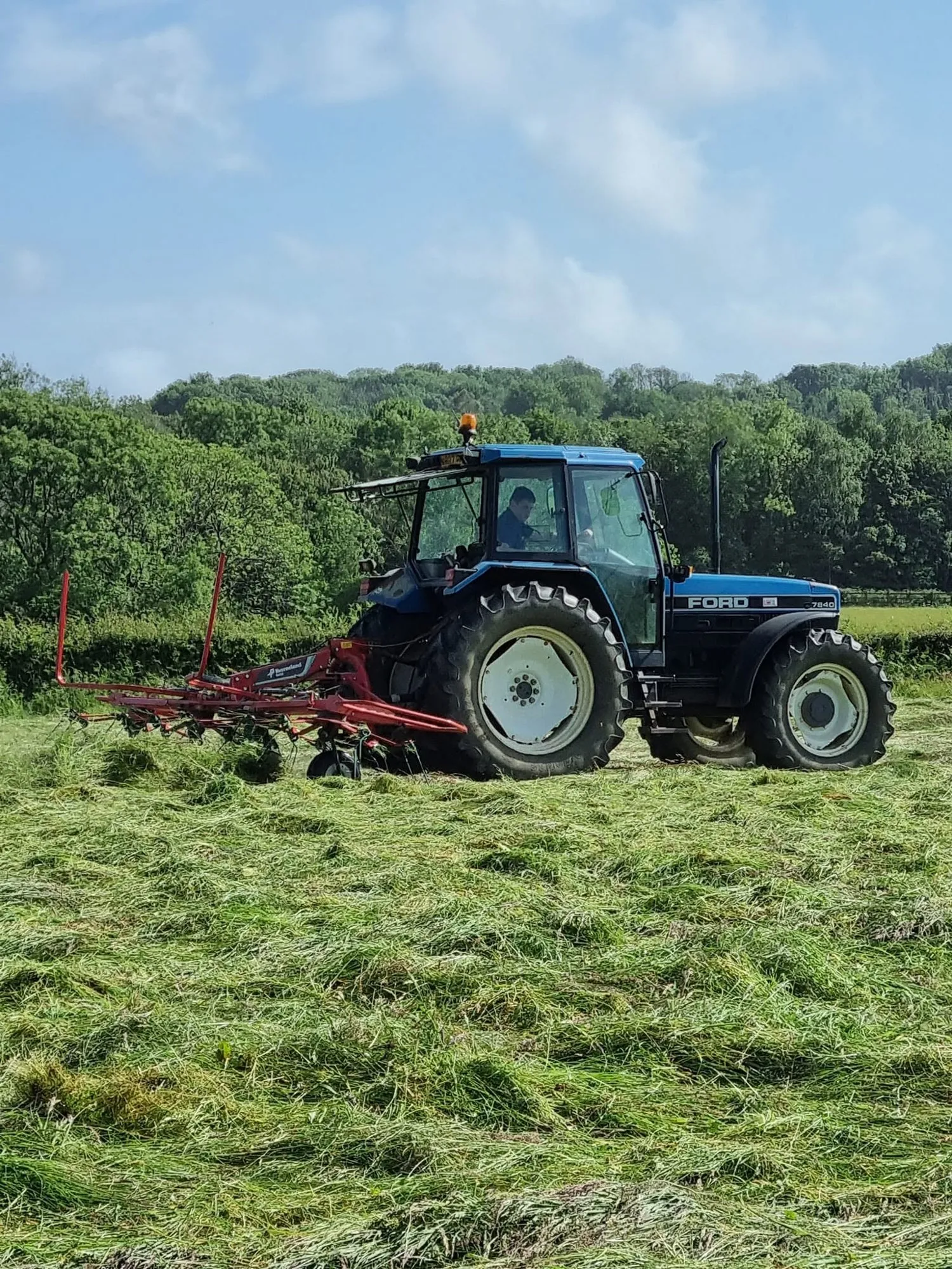 Tractor with a tedder spreading freshly cut grass